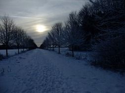 mystical winter landscape