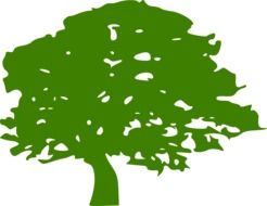 green tree simple vector painting