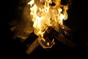 fire nature