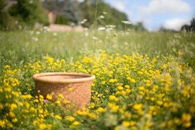 wicker basket on a meadow