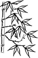 bamboo leaves drawing