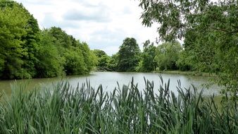 beautiful and delightful lake