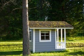 wooden cabin at forest, finland