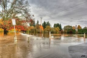 Flood on the road