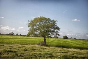 Beautiful landscapes in Guyana