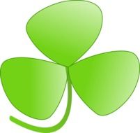 painted shamrock as an illustration