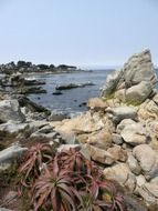 panoramic view of coastline in california