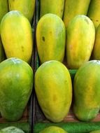 Yellow and green papaya fruits for sale in Singapore