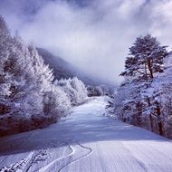 striking snow mountain