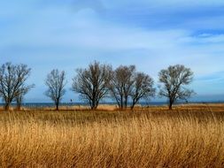 Countryside field