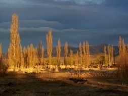 andean landscape in argentina