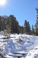 snow winter stairs sunshine