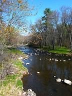 Trees near a river, usa, Wisconsin