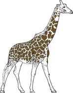 side view of a giraffe drawing