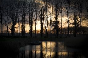 evening orange twilight over the trees in the water