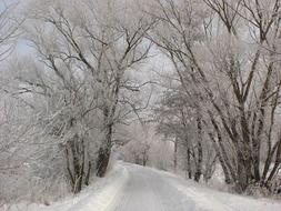 cold countryside