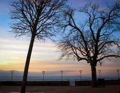 lights along the promenade in the evening