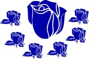 blue rose flower design