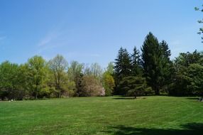 summer park lawn green landscape