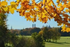 autumn in english garden in munich