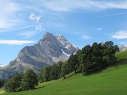 Beautiful mountain landscape with plants in Switzerland