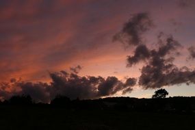 dramatic red sunset in the evening