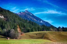 landscape of valley with mountains in austria