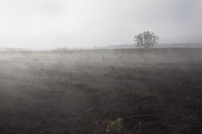 fog mood landscape in november