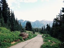Landscape of the path near the mountains