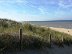 beach in the North Sea, Holland