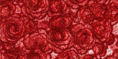 beautiful relief pattern of red roses