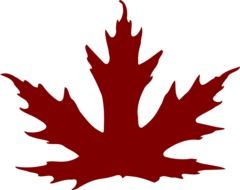 brown maple leafÐ± ÑÐ´Ð´Ð³ÑÐµÐºÑÐµÑÑÑ
