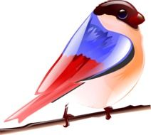 painted red and blue tit