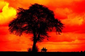 a dark silhouette against the red sky