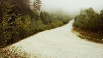 forest fog road scenery