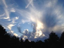 clouds in the glare of sunlight over trees
