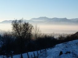 landscape mist field
