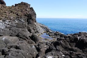 wonderful madeira coast