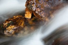 enchanting abstract blur