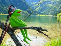 Kermit with sticks for walking rests on the lake