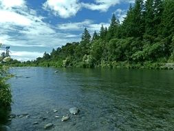 landscape of a beautiful forest river