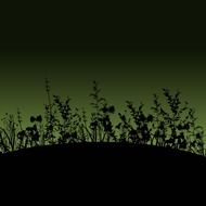 flower silhouette dusk
