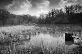 Black and white photo of the beautiful landscape with the marsh among the trees
