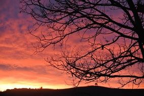 delightful beauty afterglow sunset