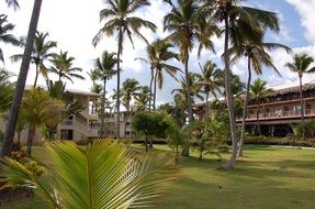 caribbean palms hotel in punta cana