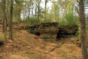 Landscapes in Rocky Arbor State Park