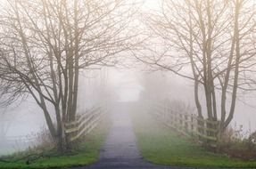 fog in park england landscape