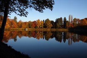 calm quiet lake with autumn forest