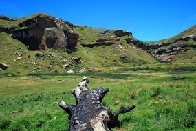 Burnt tree stump in a green meadow among the hills on beautiful landscape