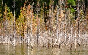 flood of lake eildon